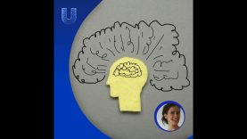 425. Hoe kun je omgaan met ADHD?