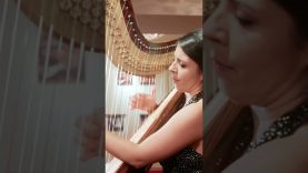 Most romantic harpmusic 😮‍💨  Romeo and Juliet by Anneleen Leenearts – Concertgebouw Shorts