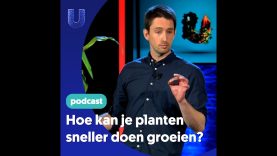 438. Hoe kan je planten sneller doen groeien?