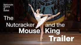 Enter the magical world of the Nutcracker and the Mouse King | Dutch National Ballet