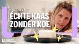 Eindelijk gelukt: echte kaas zonder koemelk