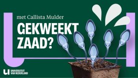 Hoe kunnen zaadcellen uit het lab onvruchtbaarheid bestrijden? 🧫