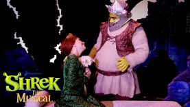 Shrek and Fiona Meet | Shrek the Musical