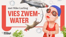 Zo goor is ons zwemwater