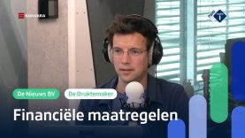 'Elk ideaal wordt teruggebracht tot een economische kwestie'