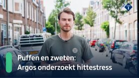 Puffen en zweten: Argos onderzoekt hittestress | NPO Radio 1