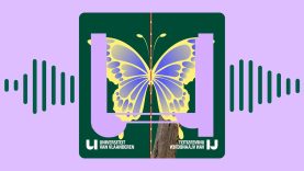 Waarom zijn de meeste dieren symmetrisch?