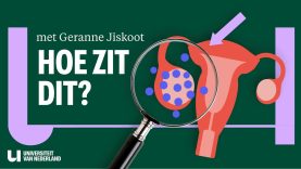 Het grootste hormoonprobleem dat bijna niemand kent (PCOS)