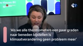 Lisa Loeb over sjoemelen met cijfertjes | NPO Radio 1