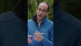 🐆🐘🐟 Waarom heeft een giraffe vlekken, een zebra strepen en een olifant… niks?