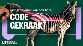 Waarom heeft een zebra strepen?