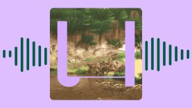 Waarom vinden paleontologen altijd de botten van dezelfde soorten dino's?