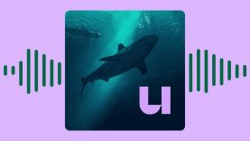 🎧 De haai gaat naar de haaien. Waarom redt niemand 'm?