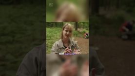 🧬 De helft van de eitjes van de kamsalamander komt nooit uit en toch overleeft de soort.