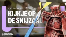 Lichaam doneren aan de wetenschap: zo oefenen studenten