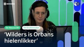 Nederlandse partijen stemmen tegen Europees recht op abortus | De Druktemaker | NPO Radio 1