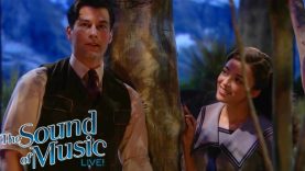 The Always Catchy Sixteen Going on Seventeen | The Sound of Music