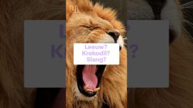 Het gevaarlijkste dier op aarde