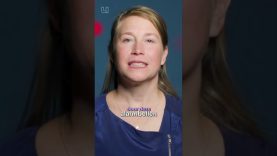 🧫 Je afweercellen eten microplastics op… maar gaan er zelf aan onderdoor.