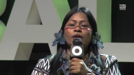 Performance: We Are the Forest | GC NOW Amazônia 2025