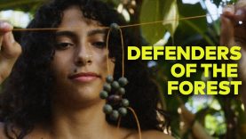 The Black Amazon | Vanuza Cardoso & the Abacatal Quilombola Community