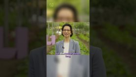 Van gezond naar ziek in 12 weken? 🥩🍟