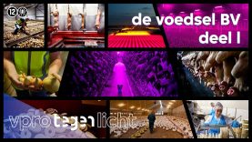 Zo ziet de Nederlandse voedselindustrie eruit (1/2) l VPRO Tegenlicht