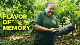 Flavor of Memory | Dona Nena & Cacao of the Amazon