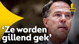 Nijboer: 'Rutte laat compensatie Groningen helemaal vastlopen' | BREEKT Politiek
