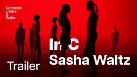 Take a look at Sasha Waltz' 'In C' | Dutch National Ballet