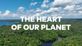 Global Citizen Festival: Amazônia – Thank You, Brazil!