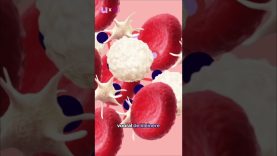 Morgen is het zo ver: dΓ© Dag van de Wetenschap! ππ