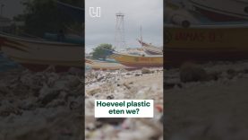 Hoeveel plastic eten we nu eigenlijk?