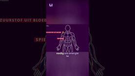 Is de volgende F1 kampioen een vrouw?