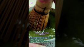 Matcha als superfood? De claims gaan vaak sneller dan de wetenschap.