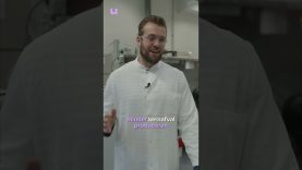 Een kerncentrale op … zout? #shorts