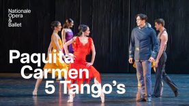 Paquita, Carmen and 5 Tangos are three ballets with Spanish flair | Dutch National Ballet