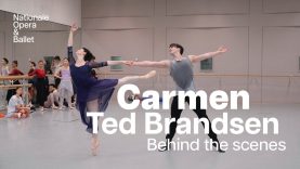 Ted Brandsen's Carmen on stage again | Dutch National Ballet