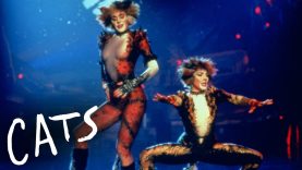 The Opening to CATS the Musical